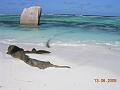 6p-La Digue LF_3413